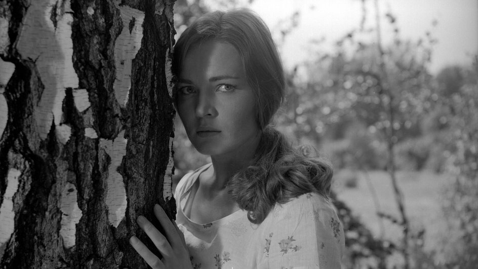 Людмила Чурсина в фильме «Журавушка» (1968) Людмила Чурсина в фильме «Журавушка» (1968)