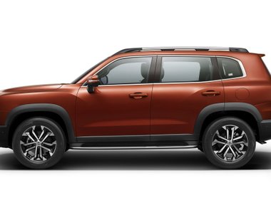 slide image for gallery: 28422 | Haval Big Dog