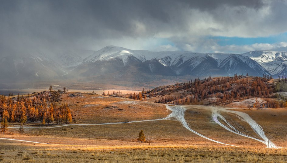 Курайская степь, Алтай