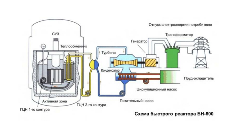 Схема реактора на быстрых нейтронах / Источник: Вестник харьковского университета