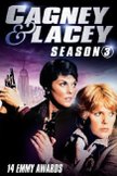 Постер Кегни и Лейси: 3 сезон