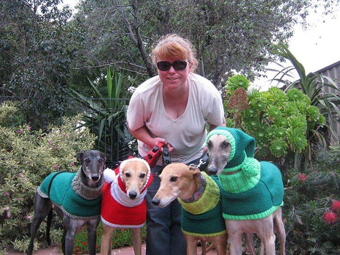Джен Браун связала уже более 300 свитеров для собак