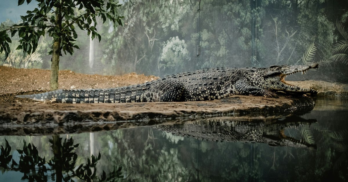 3D-технология показала смертельный обед крокодила в Древнем Египте