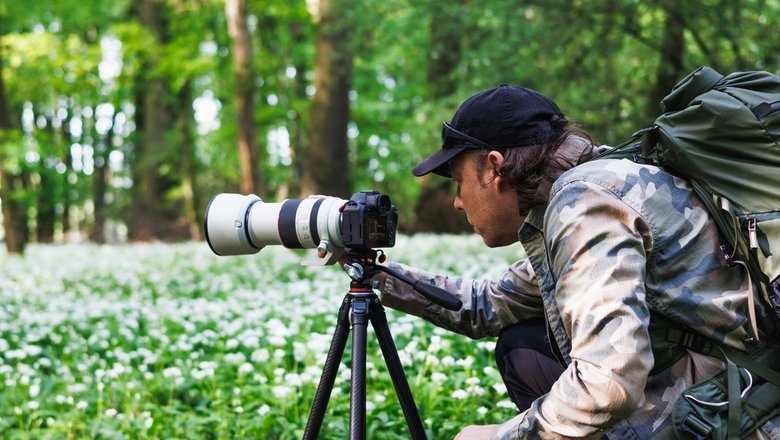 Мужчина фотографирует лес в России.