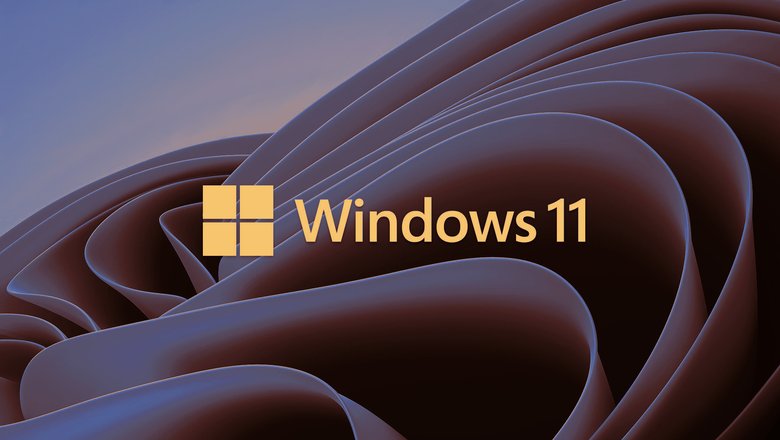 windows 11