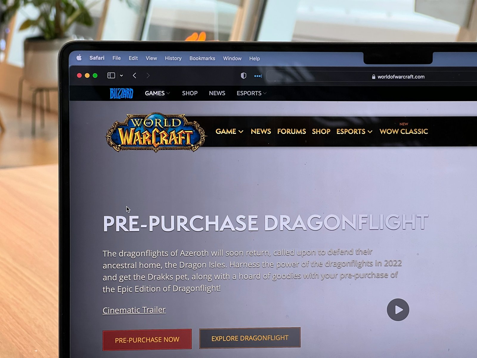 Технический перерыв»: World of Warcraft возвращается в Китай - Hi-Tech  Mail.ru