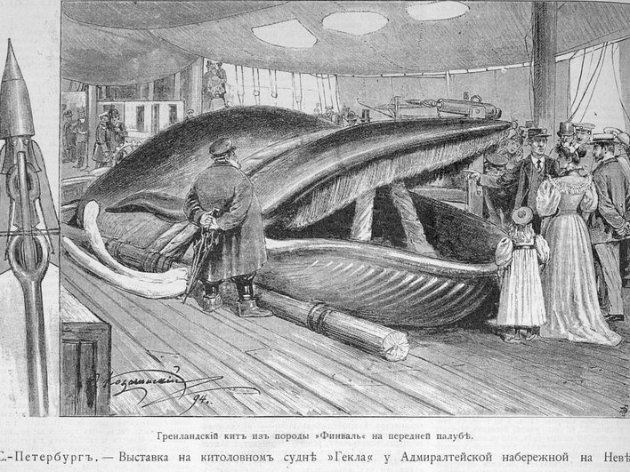 Рисунок, отображающий историю охоты на китов Рисунок, отображающий историю охоты на китов