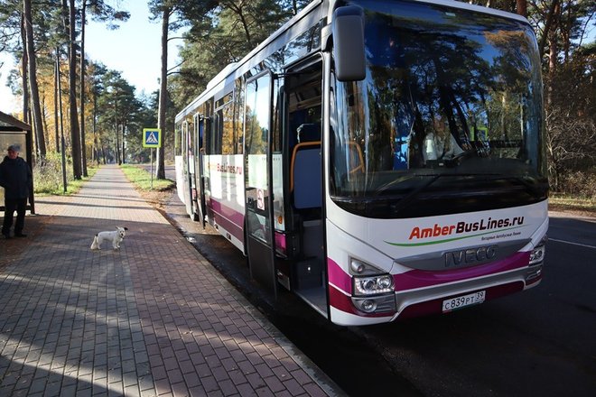 В марте из Ростова-на-Дону запустят автобусный маршрут в турецкий город Мерсин