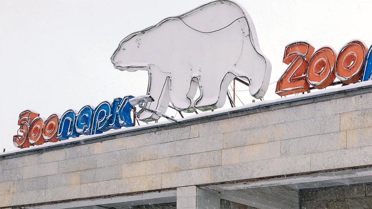 ленинградский зоопарк ленинградский зоопарк