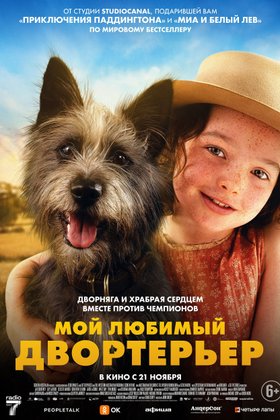Мой любимый двортерьер: постер