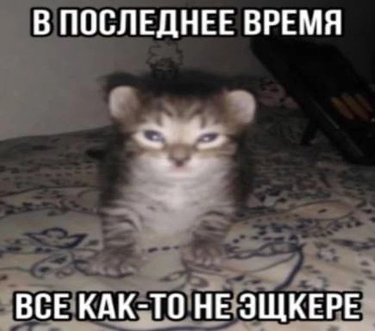 Мем Мем