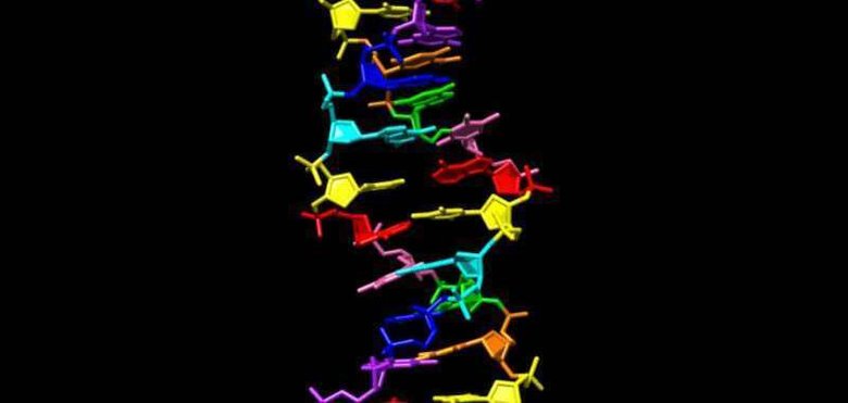 Так выглядит структура синтетической молекулы. Фото: Indiana University School of Medicine