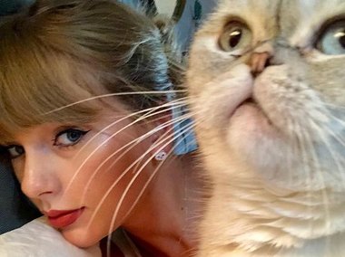 Slide image for gallery: 15820 | Певица Тейлор Свифт со своей кошкой. Фото: @taylorswift