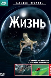 BBC: Жизнь: постер