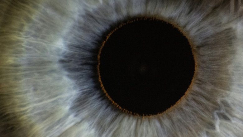 Микрогравитация может влиять на перфузионное давление глаза.