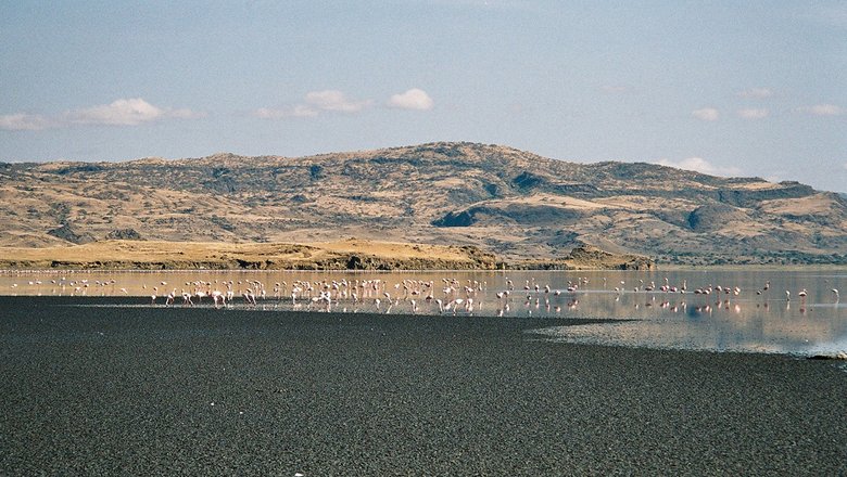 Озеро Натрон, Танзания