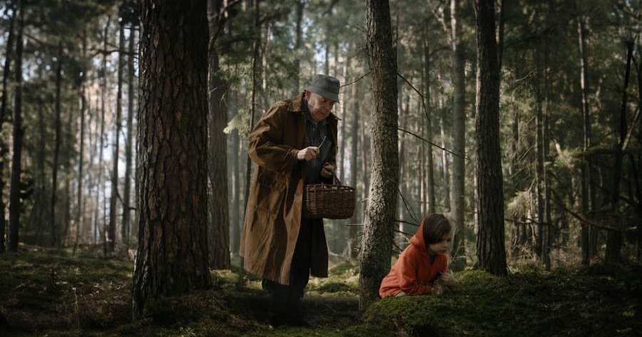 Пригласили даму танцевать: «Балерина» проиграла Юрию Стоянову