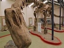 Кадр из Динозавры Патагонии