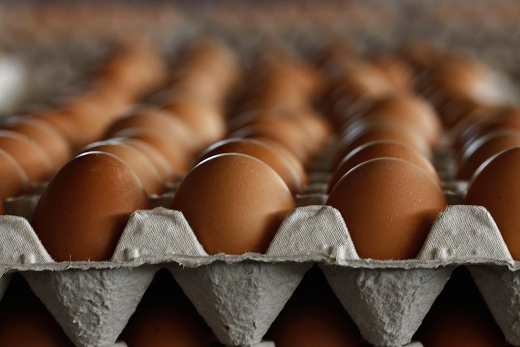 Эксперт по пищевой безопасности объяснил, почему нельзя мыть яйца водой | , ИноСМИ