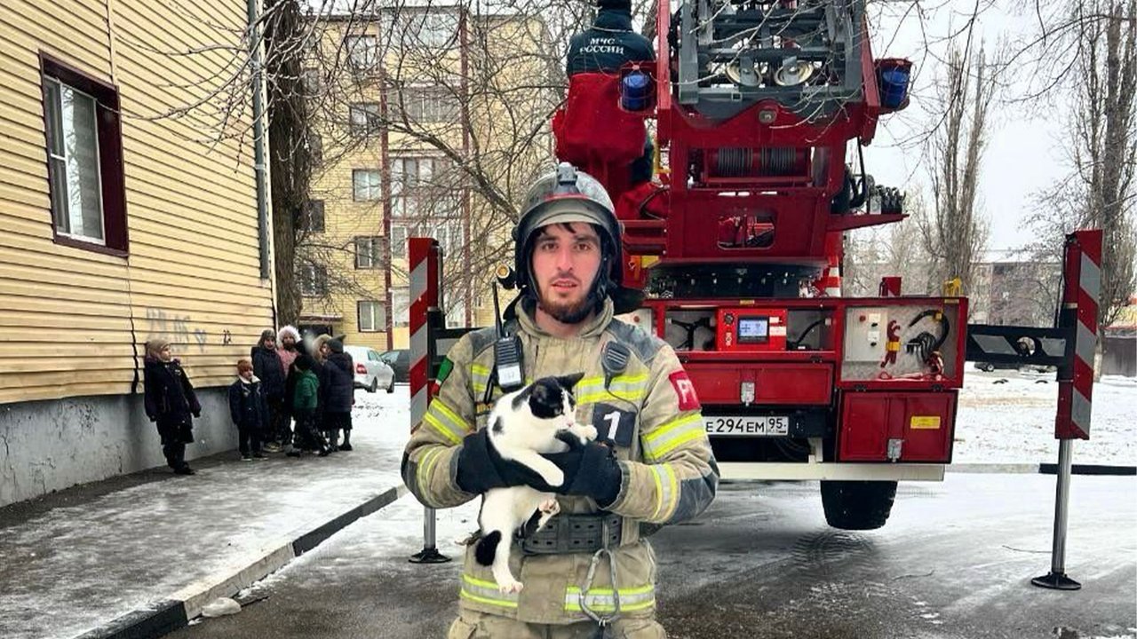 В Грозном спасатели сняли кошку с крыши многоэтажки В Грозном спасатели сняли кошку с крыши многоэтажки
