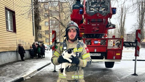 В Грозном спасатели сняли кошку с крыши многоэтажки