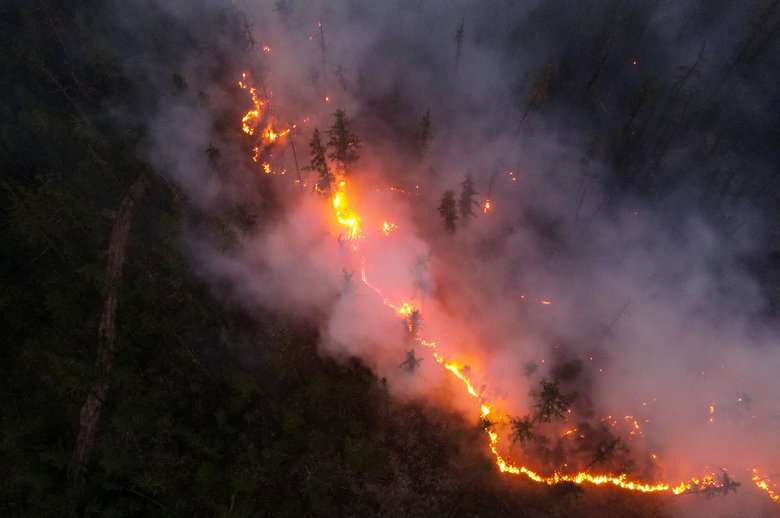 Лесной пожар в Якутии. Фото: РИА Новости / Нина Слепцова
