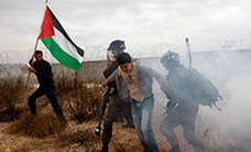 От сотворения до разрушения мира: что делят Израиль и Палестина