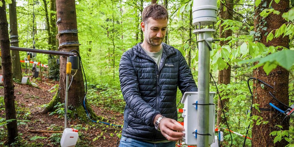лаборатория на открытом воздухе Waldlabor лаборатория на открытом воздухе Waldlabor