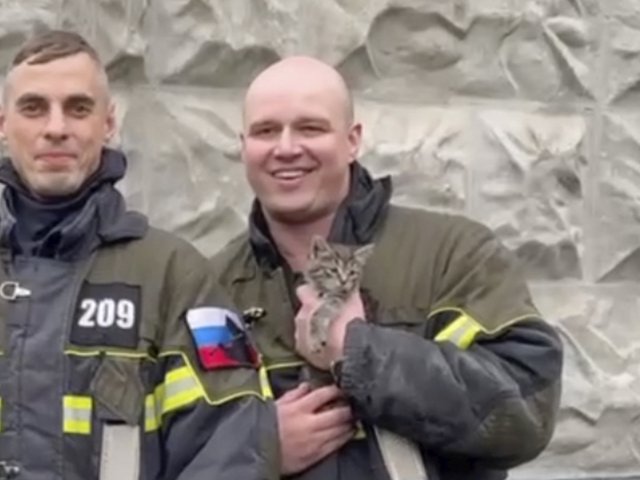 В Москве спасли котенка, который несколько дней сидел в трубе