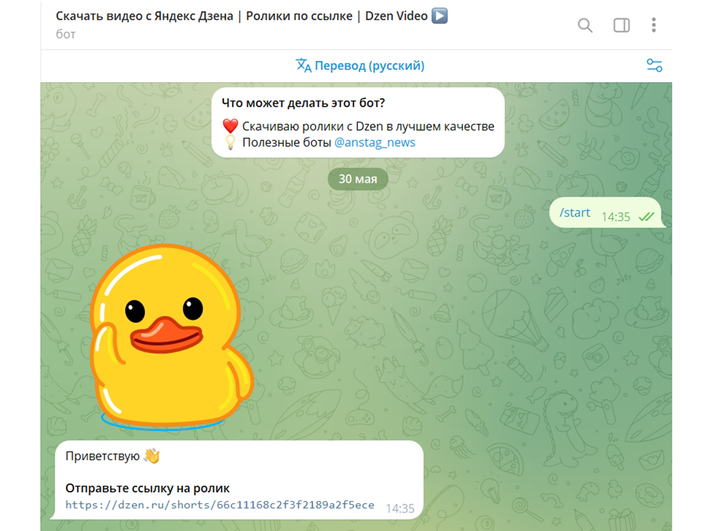 Telegram-бот для скачивания видео с «Дзена» Telegram-бот для скачивания видео с «Дзена»