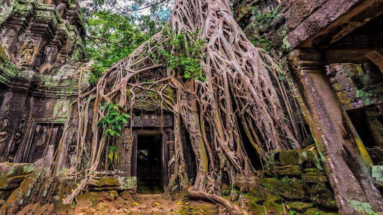 Уцелевшие храмы Ангкора. Фото: Connections
