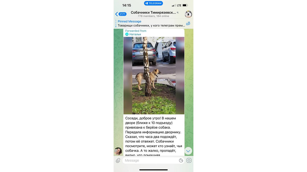 В Москве собаку оставили привязанной к дереву В Москве собаку оставили привязанной к дереву