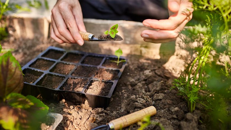 Как правильно заготовить почву для рассады и хранить ее до весны: советы от опытных садоводов