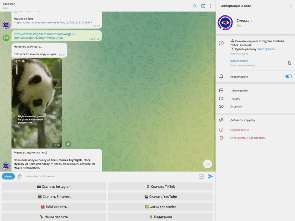 Скриншот диалога с телеграм-ботом Creoscanbot