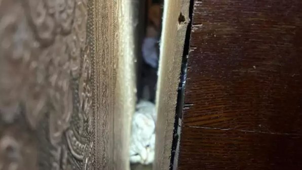 Кошка застряла за шкафом — пришлось вызывать МЧС