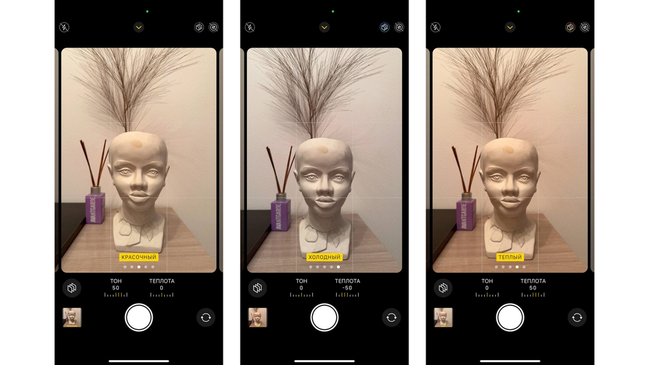 Скриншоты камеры на iPhone, где показана разница фильтров