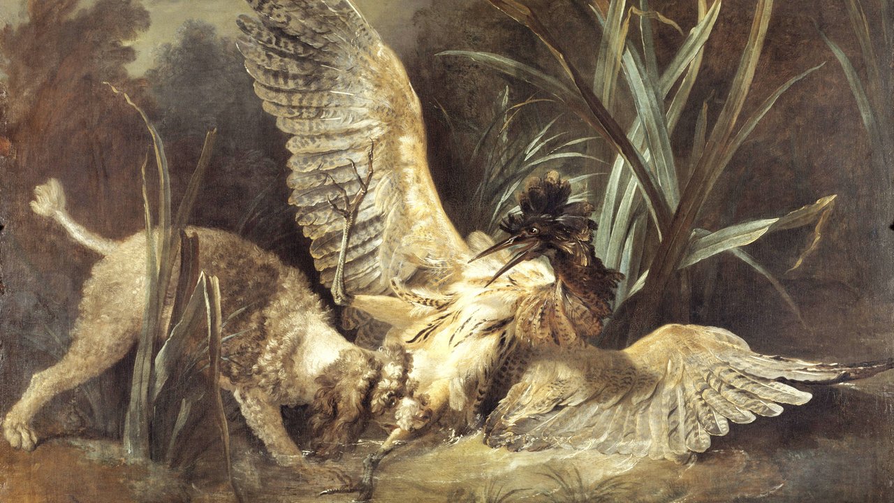 Пудель хватает выпь. Художник Жан-Батист Удри, XIX век.
