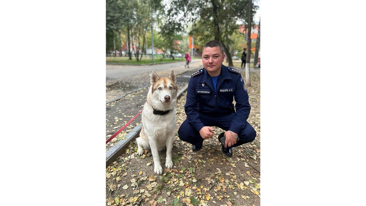 В Дедовске на пожаре спасены люди, две кошки, собака и попугай