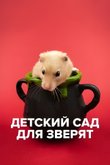 Постер сериала «Детский сад для зверят» (1 сезон)