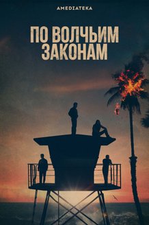 По волчьим законам: постер