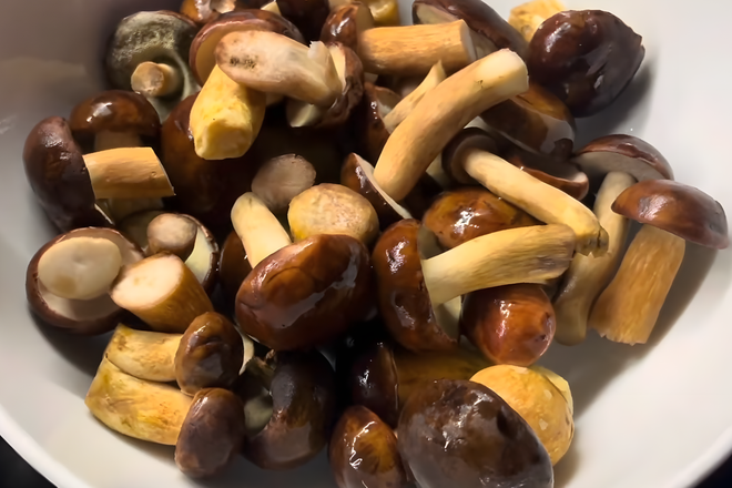 Маринованные польские грибы с уксусом Маринованные польские грибы с уксусом