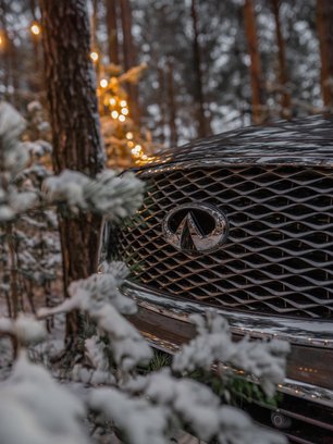 slide image for gallery: 27131 | Детали Infiniti QX80