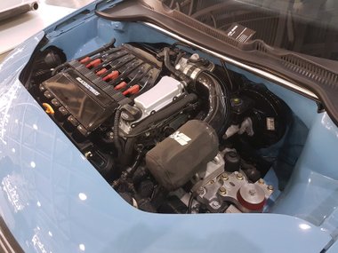 slide image for gallery: 23729 | Неформалы московской автомобильной выставки. Гольфообразные
