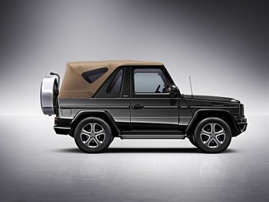 slide image for gallery: 15124 | Mercedes-Benz G-класса 200 Final Edition