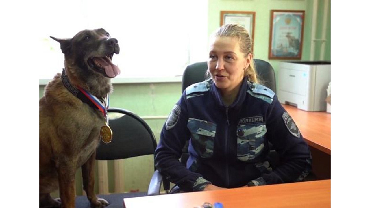 Легендарный пес-полицейский ушел на пенсию с особой наградой Легендарный пес-полицейский ушел на пенсию с особой наградой