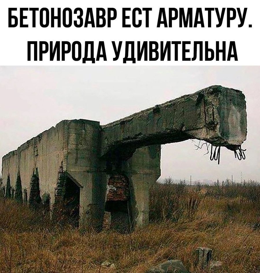Как же все-таки удивительна природа Как же все-таки удивительна природа