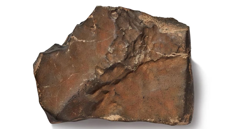 Метеорит Northwest Africa 16286 представляет собой удачную находку для ученых Метеорит Northwest Africa 16286 представляет собой удачную находку для ученых