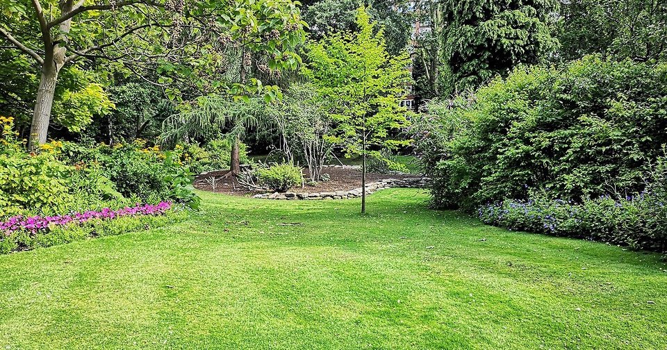 Как посеять газон правильно: полезные советы и инструкция в 4 шага