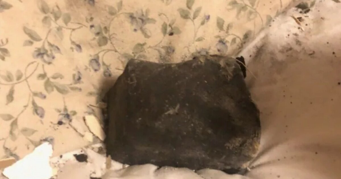 Метеорит разбудил женщину: он упал на подушку в ее кровати