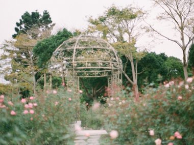 jisun-han-6WkFIVRysis-unsplash.jpg jisun-han-6WkFIVRysis-unsplash.jpg